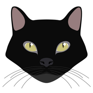 孟买猫头像.猫品种照片