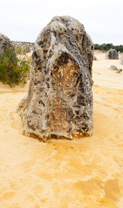 顶点是石灰岩 Nambung 国家公园内，靠近西方澳大利亚塞万提斯