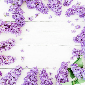 白色背景上的紫丁香