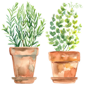 手绘线设置的室内盆栽植物在花盆里一套手绘仙人掌和多肉植物在花盆里