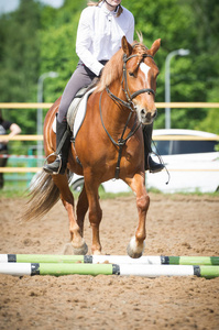 骑马训练, 入门级。Cavaletti 小跑