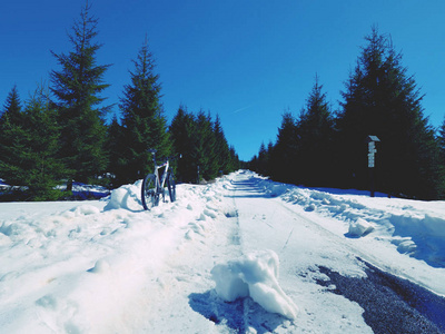 山地自行车在雪地里。在雪地上骑着大轮胎骑车