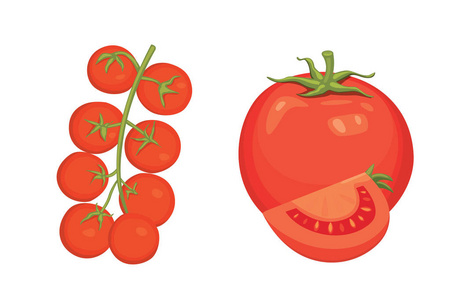 新鲜红番茄和汤矢量插图的集合。半，切片，樱桃番茄