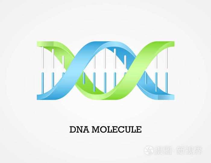 人类dna 分子符号
