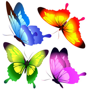 明信片与五颜六色的飞行蝴蝶收集在白色背景, 媒介, 例证隔绝了