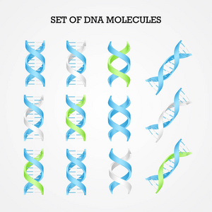 人类 Dna 分子符号集