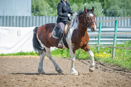 骑马训练, 入门级。Cavaletti 小跑