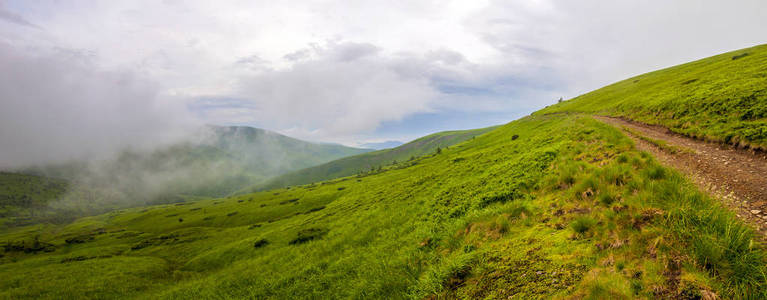 冷雾夏天早上在喀尔巴阡山的全景