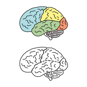 人脑膨胀成有色区域