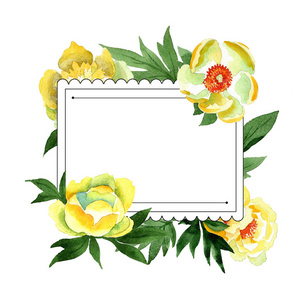 框边框装饰广场.背景,质地,包装图案,框架或边框的水彩画野花照片