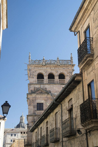 萨拉曼卡 西班牙 具有历史意义的蒙特雷宫