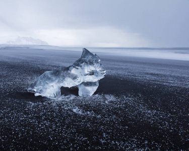 在黑色火山冰岛海滩的冰雕幼崽