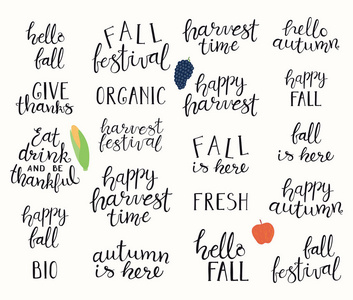 大秋丰收集用手写毛笔书法刻字, 概念为秋季和感恩节, 矢量, 插图