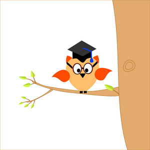 一只猫头鹰的毕业帽与文本的一棵树的树枝上