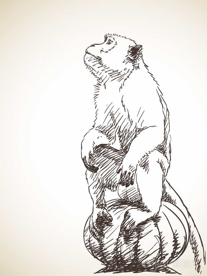 草绘的头朝上的猴子