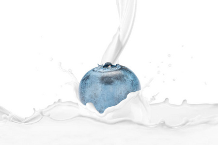 牛奶泼在新鲜的蓝莓与飞溅