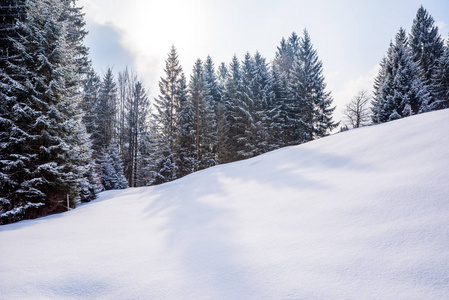 美丽的冬天风景在德国阿尔卑斯在纽伦堡, Allgaeu, 巴伐利亚, 德国