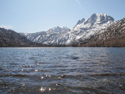 美丽的湖，雪的山和松树树