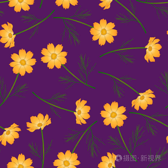 橙色黄色宇宙花在紫色背景矢量插图