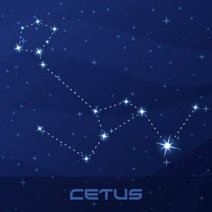 星座鲸鱼, 鲸鱼, 海怪, 夜星天空照片