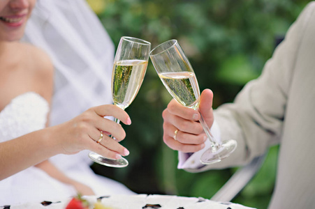 婚礼情侣香槟土司手里拿着香槟杯水平
