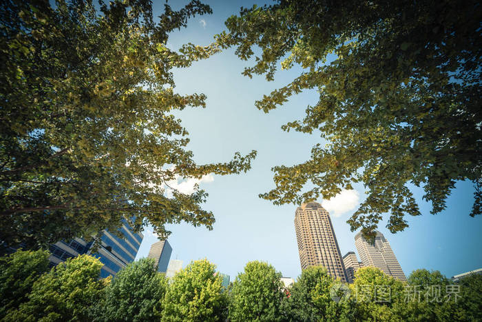 美丽的绿色城市公园在达拉斯市中心阳光明媚的一天低角度景观树郁郁