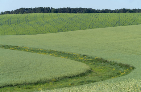乌克兰波多利亚地区, 春季农业景观
