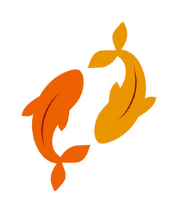 锦鲤金金花鲤鱼淡水鱼水动物湖日本锦鲤鱼照片