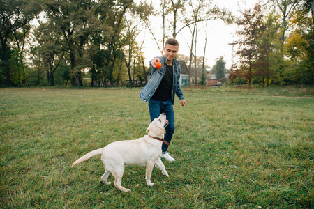 在日落时分人抛球给狗拉布拉多公园.最好的朋友玩球照片