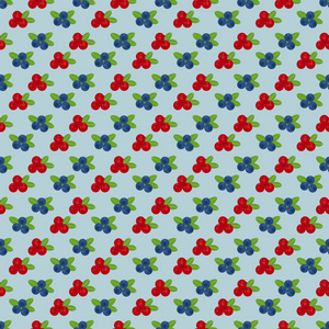 蔓越莓和蓝莓无缝模式 4