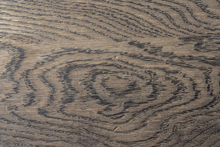 橡木纹理的宏观拍摄.高分辨率照片照片