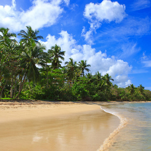 棕榈海滩在加勒比海