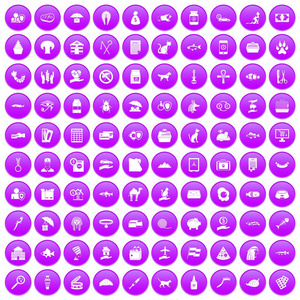 100猫咪图标设置紫色