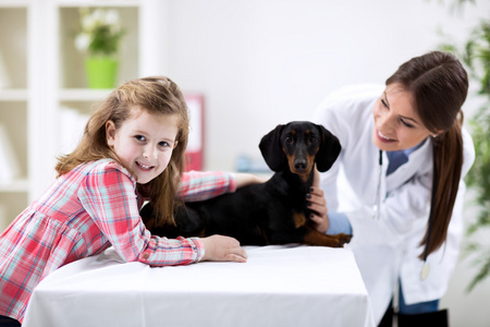 兽医帮助小孩与狗
