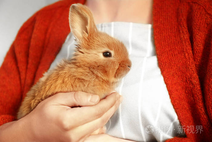 女人抱着可爱的毛茸茸的兔子特写