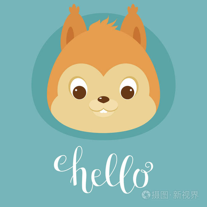 可爱的松鼠搞的头