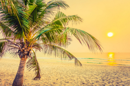 海滩上的椰子棕榈树的剪影