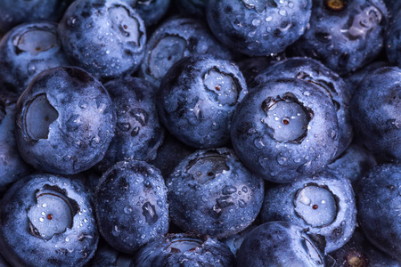 新鲜成熟的蓝莓与滴露。浆果背景。宏照片