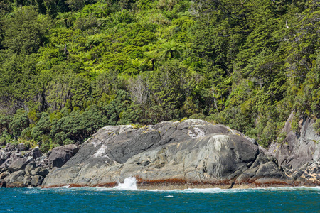 新西兰峡湾的岩石形成