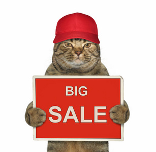 红帽中的猫正拿着一个牌子 大甩卖。白色背景