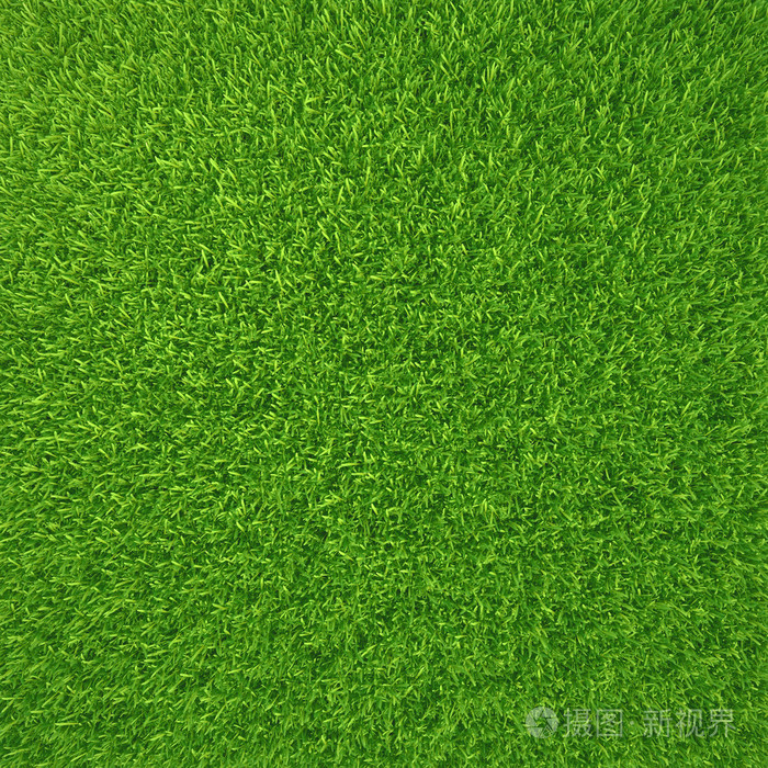 自然背景纹理.新鲜的春绿草