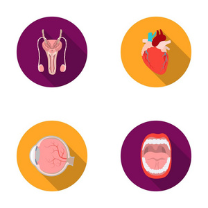男性系统，心，眼球，口腔。机关在平面样式矢量符号股票图 web 设置集合图标