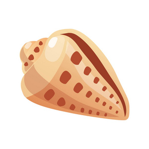 海螺卡通海洋贝壳,空的软体动物的壳.姹紫嫣红的卡通插图照片