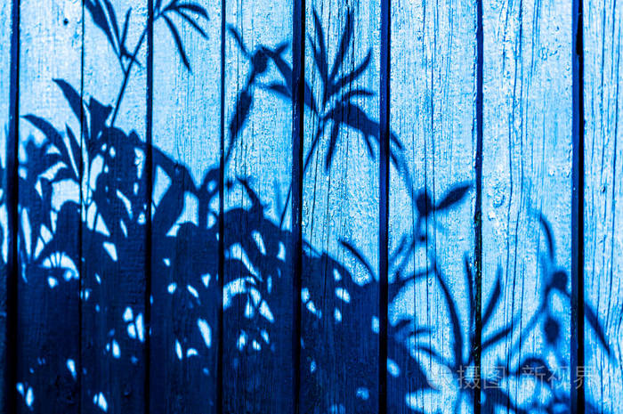 游戏的阴影建筑物的木碎片上的植物的影子