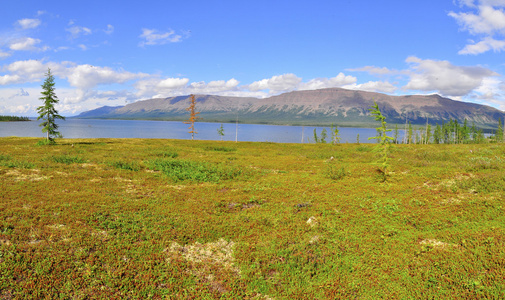 Putorana 高原全景的高山湖泊