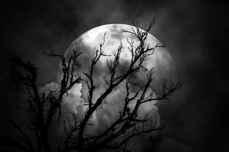 吓人的图片大全