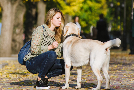 秋天, 美丽的年轻金发女郎正和她的拉布拉多在公园里散步。女人蹲在她的猎犬旁边。