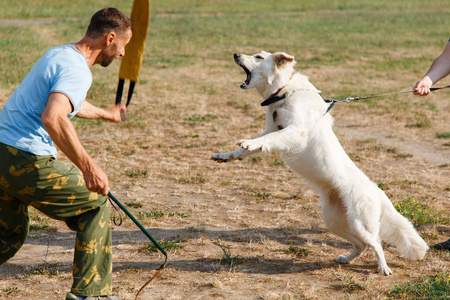 这位讲师和一只白瑞士牧羊犬一起上课。狗保护主人