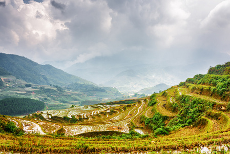 镜稻梯田充满水的风景。 越南