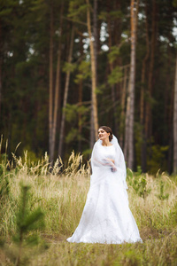 美丽的新娘穿着白色连衣裙的耳朵之间